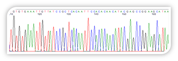 dna sequence editing software for mac